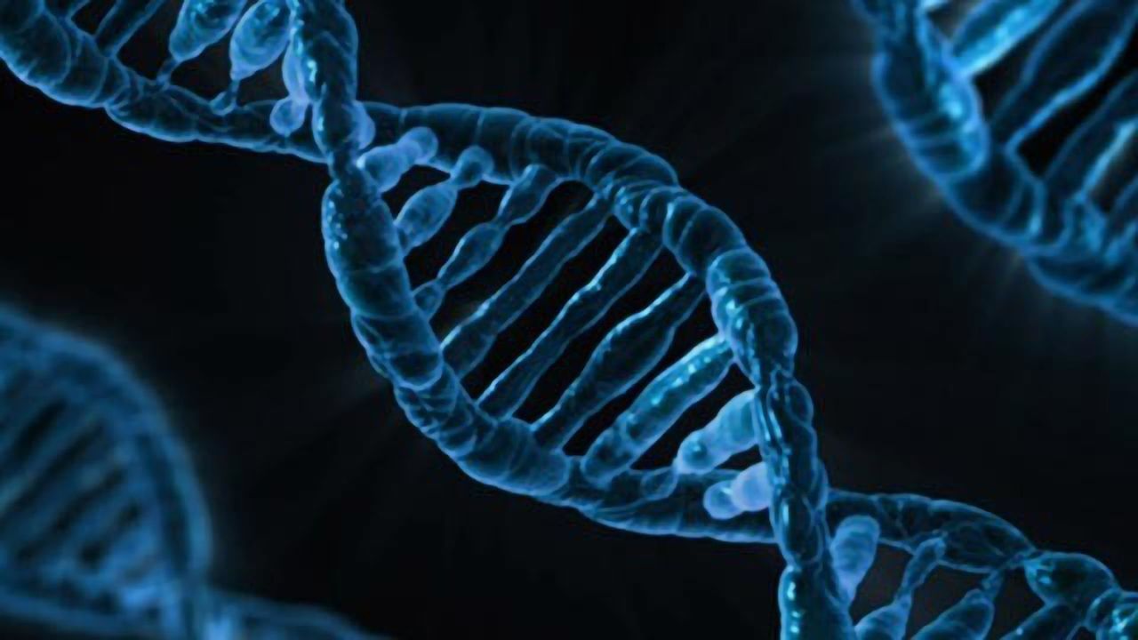 Cancer Drug Shrinks and Intercalates DNA