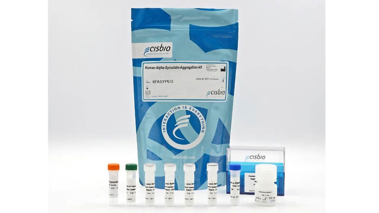 Alpha-Synuclein aggregation detection