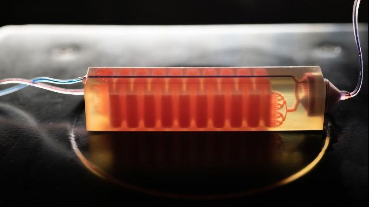 3D-printed Device Finds "Needle in a Haystack" Cancer Cells by Removing the Hay