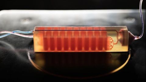 3D-printed Device Finds "Needle in a Haystack" Cancer Cells by Removing the Hay