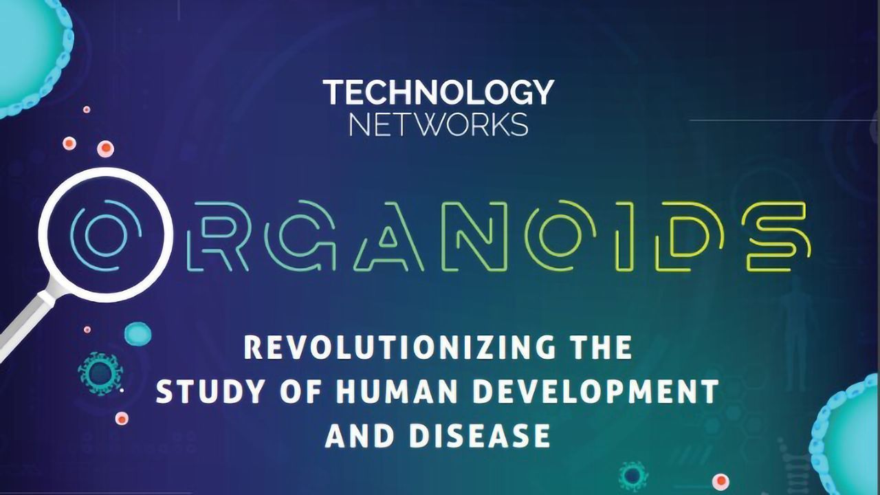 器官 - 彻底改变人类发展和疾病的研究