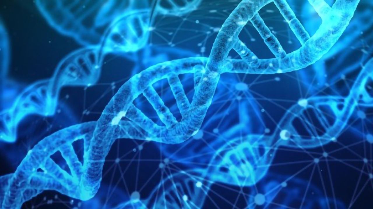 Novel Data on Reduced Potency Payload Antibody-drug Conjugates
