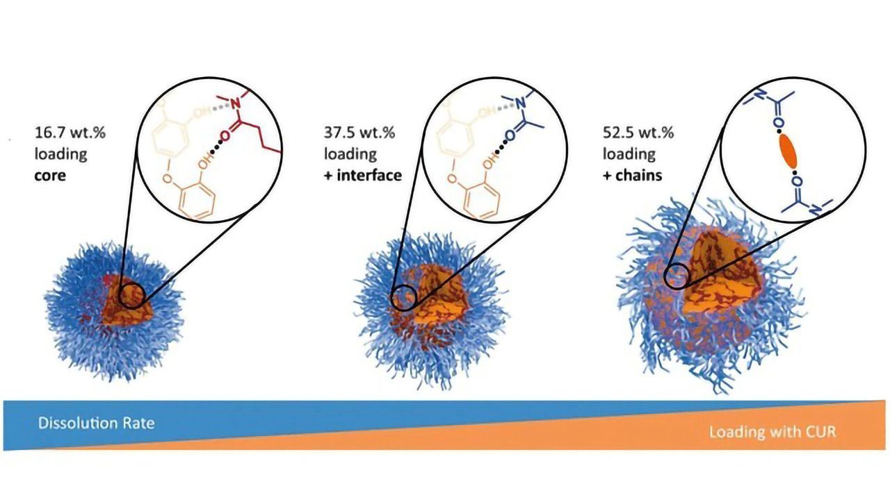 Taking a Closer Look at Drug Delivery