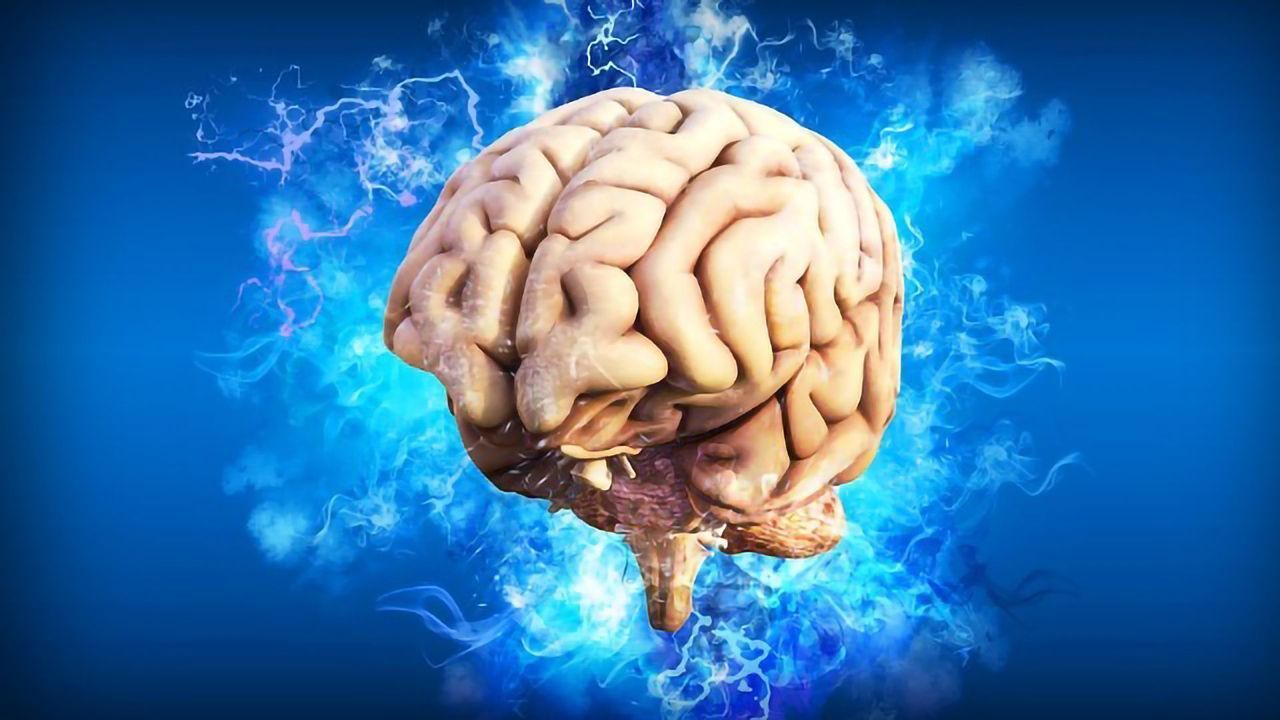 Reading the Brain’s Map: Coordinated Brain Activation Supports Spatial Learning and Decision-Making