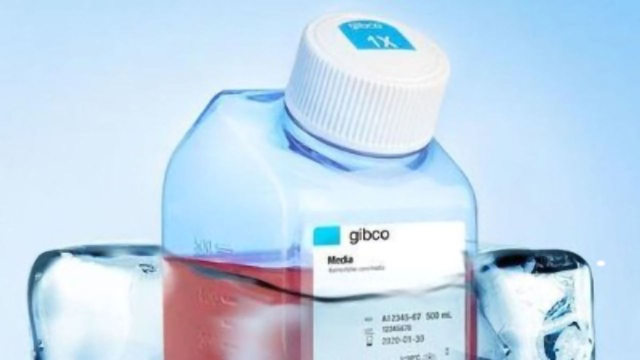 Gibco BenchStable Media