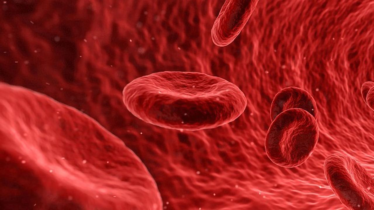 High Levels of Two Hormones in the Blood Increase Prostate Cancer Risk