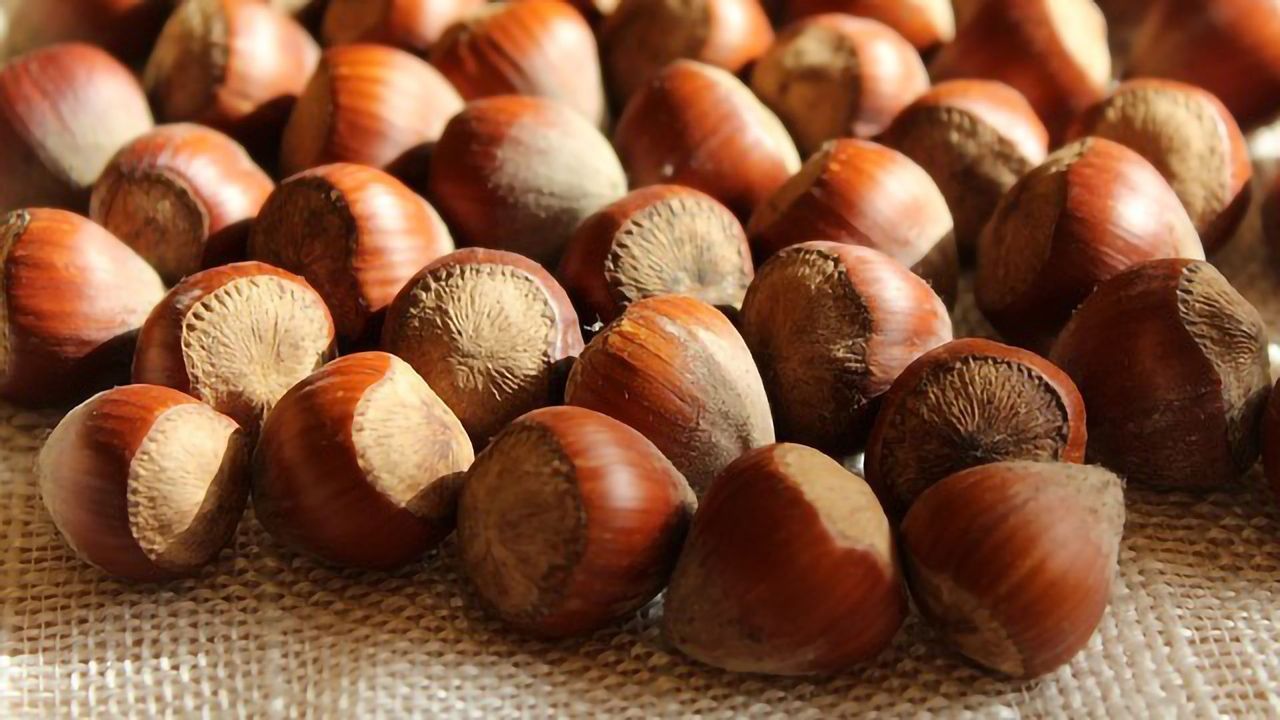 Hazelnut's Got it Cracked!