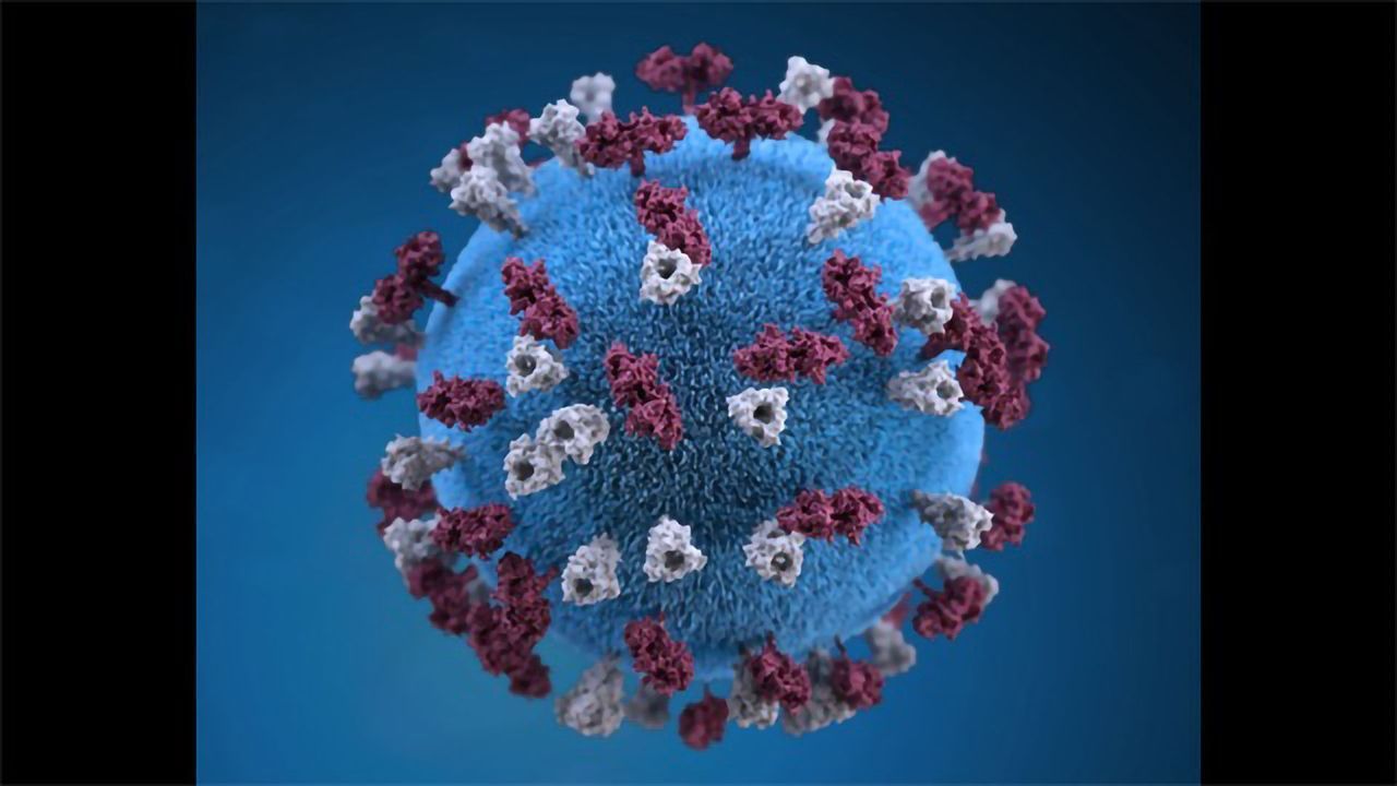 Immune System's Memory Wiped by Measles