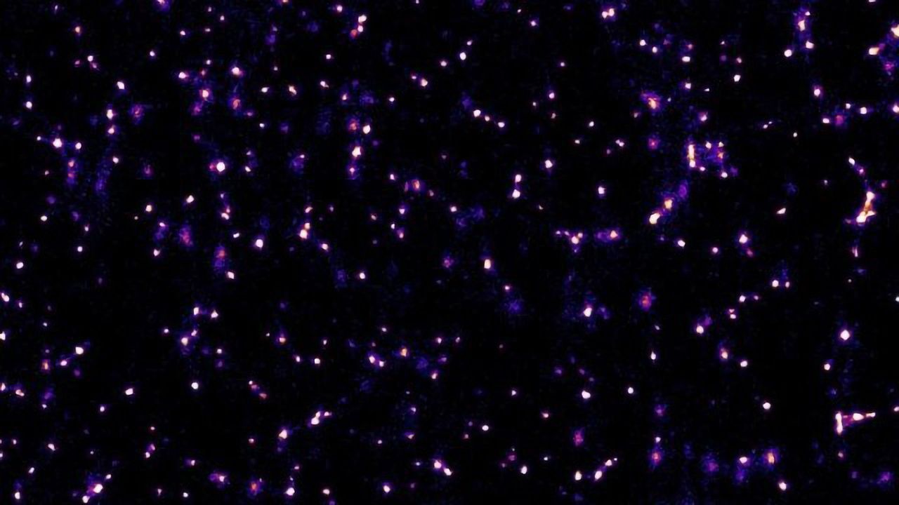 Discovery of "Cellular Bike Couriers" Clue to Disease Spreading