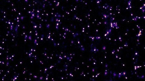 Discovery of "Cellular Bike Couriers" Clue to Disease Spreading