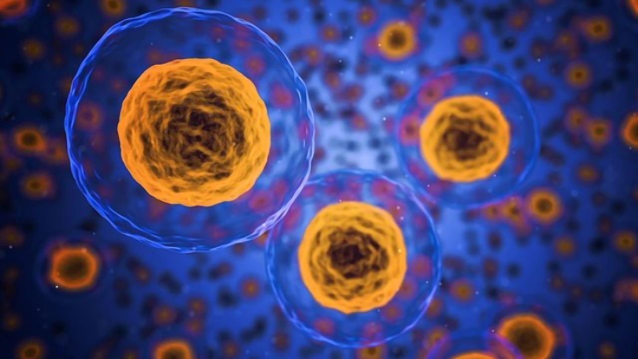 Status of Proteins Housing DNA Controls How Cells Maintain Their Identity