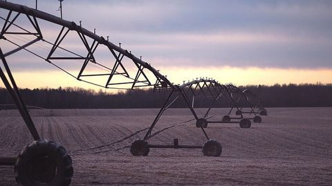 Plants May Suffer From Wastewater Irrigation