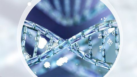 Biotherapeutic Quantification Methods