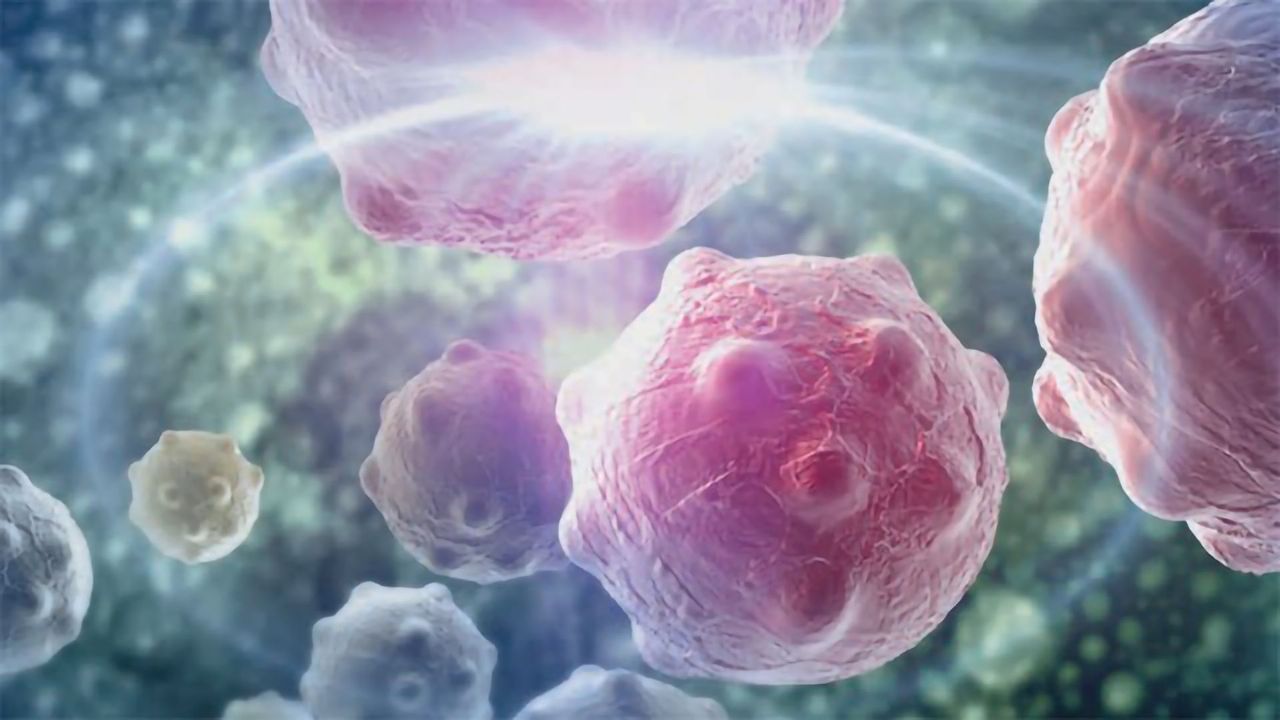 Gibco™ Education Cancer Cell Culture Basics Handbook