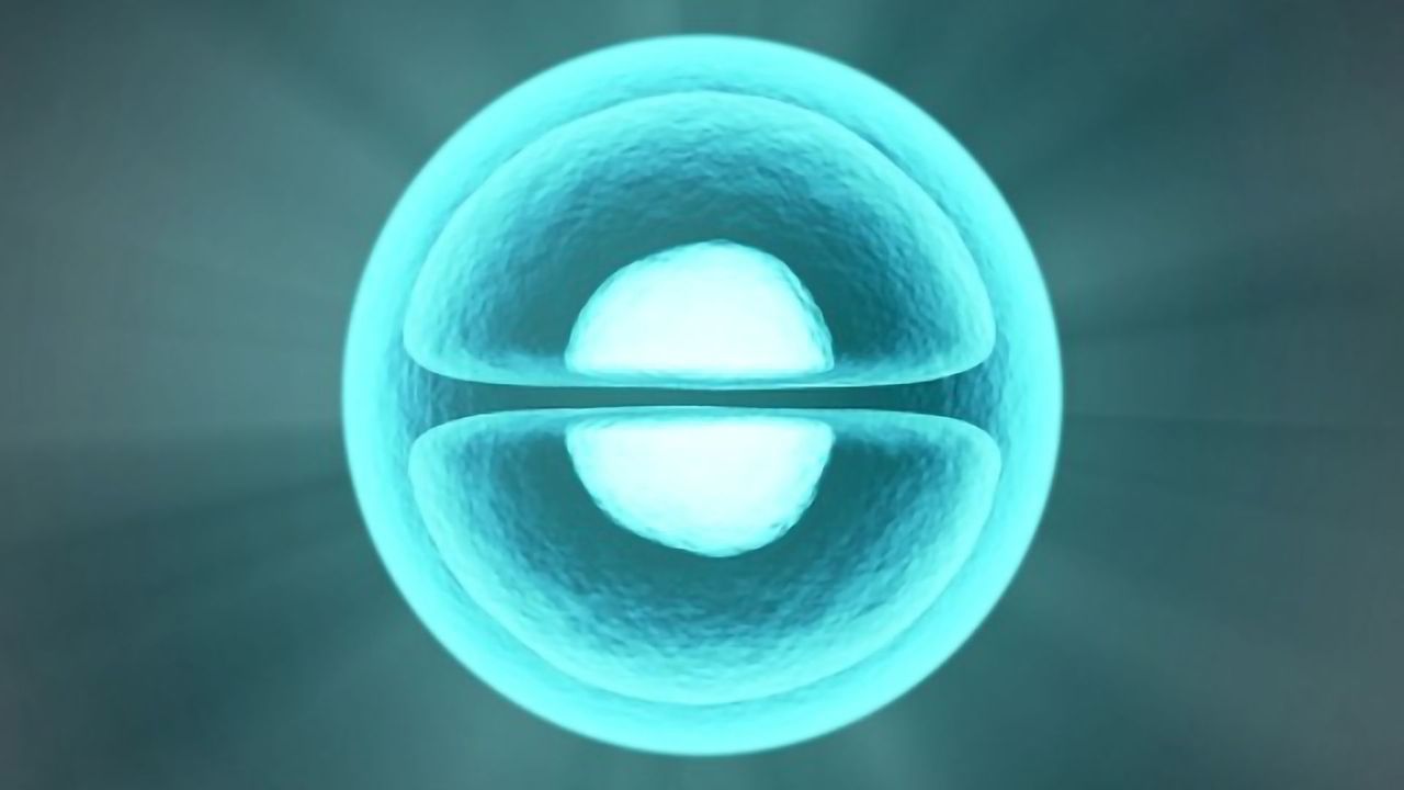 Complex Cellular Machine Visualized To Provide New Insights in Cancer