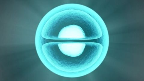 Complex Cellular Machine Visualized To Provide New Insights in Cancer