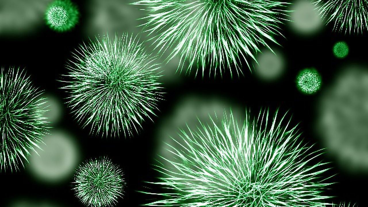 A Test To Detect Antibiotic Resistance in Less Than 45 Minutes