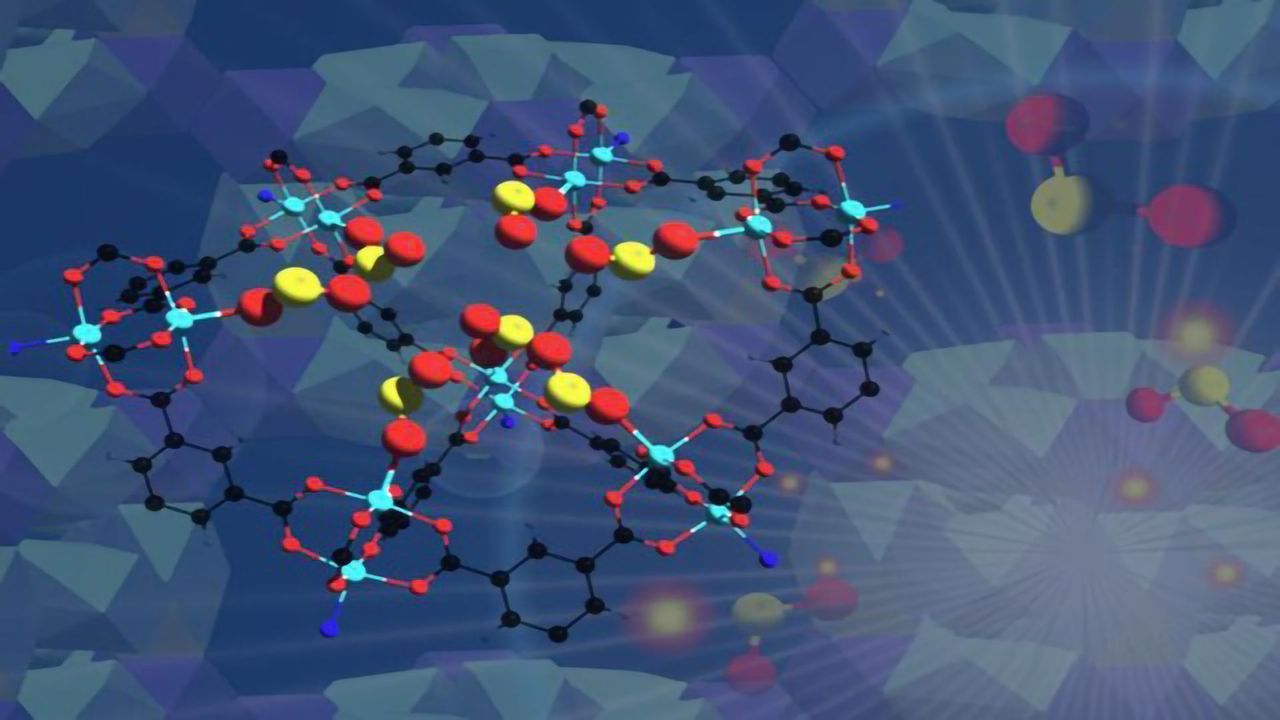A Scientific Twist on Video Games: Designing Proteins