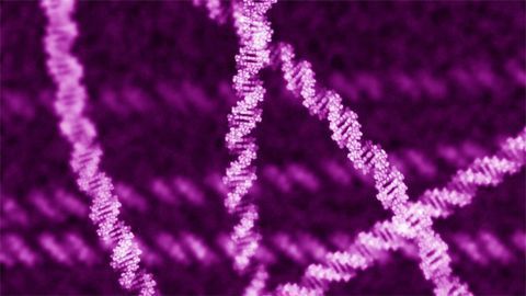 Open-source Database Enhances Genomics Research Collaboration