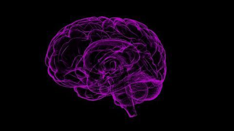 AI Blood Test Can Spot Signs of Brain Tumour To Speed Up Diagnosis