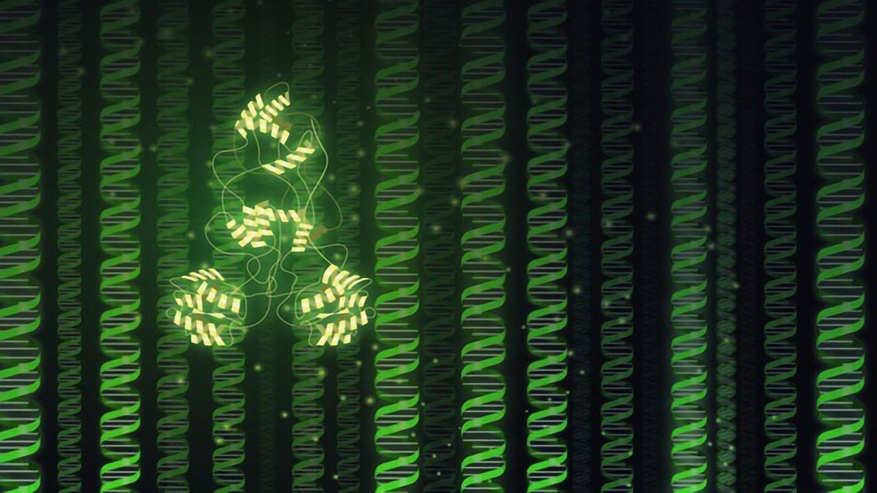 Sleeping Beauty Awakens to a Makeover and a Job in Genome Engineering