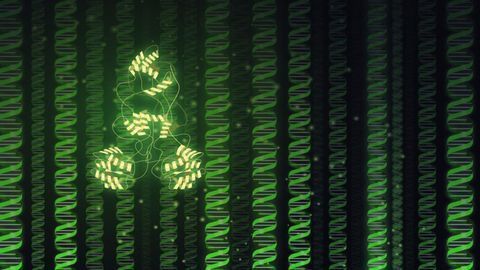 Sleeping Beauty Awakens to a Makeover and a Job in Genome Engineering