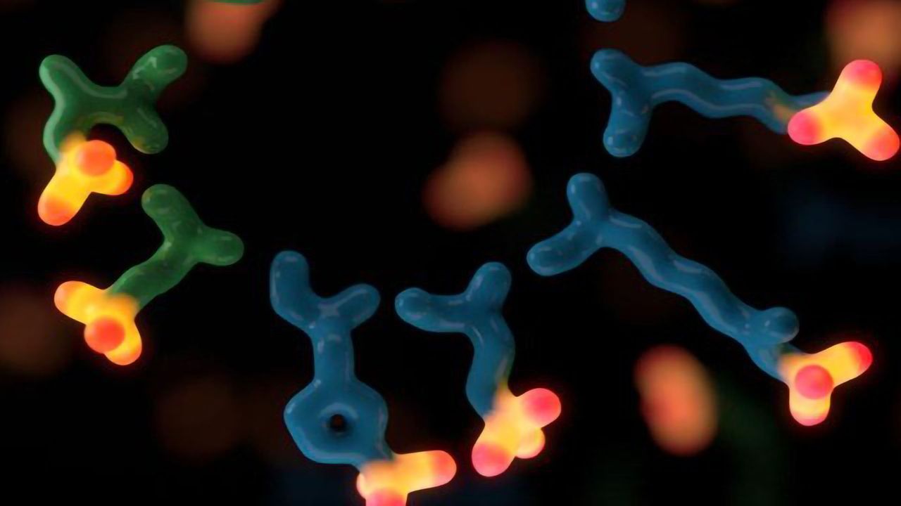 Phosphorylation in Cell Signaling Is Far More Diverse Than We Thought