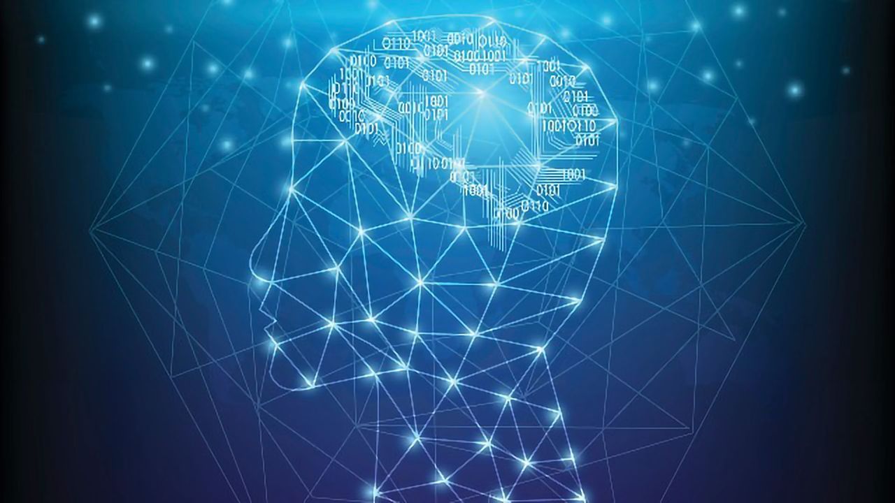 Neural Networks Show What the Brain Likes To See