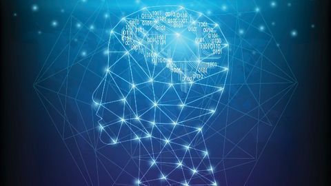 Neural Networks Show What the Brain Likes To See