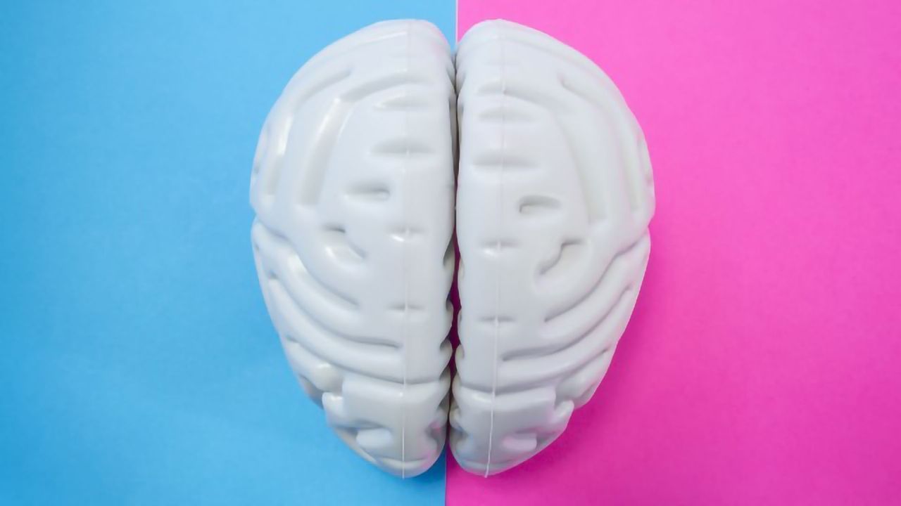 Concussion-like Injuries Make the Brain Process Fear Differently