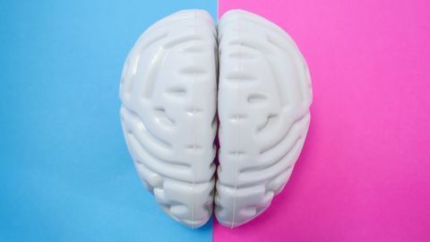 Concussion-like Injuries Make the Brain Process Fear Differently