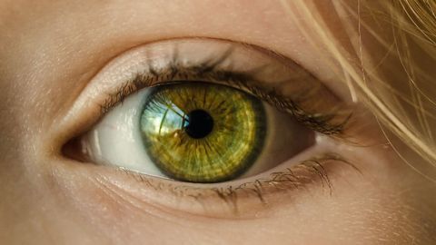 Zooming Into Cilia Sheds Light on Blinding Diseases
