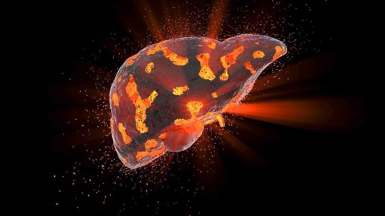 Regeneration Mechanism Discovered in Mice Could Provide Target for Drugs to Combat Chronic Liver Disease