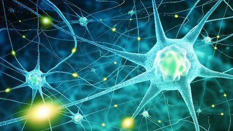 Patch-clamp First Reveals Mechanisms Behind Fast-frequency Nerve Conduction