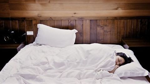 The Brain Circuit That Builds Memories During Sleep