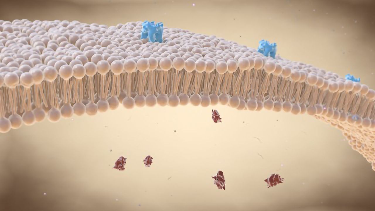 Nanodiscs: The Mobile Home for Membrane Proteins