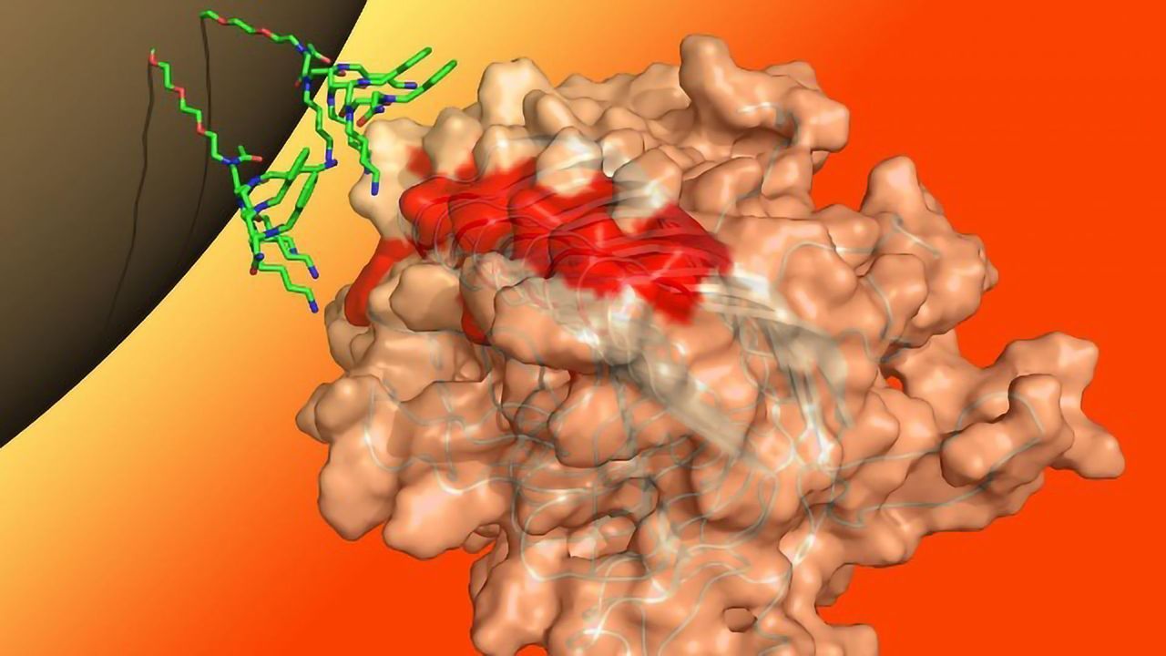 A Game-changing Test for Alzheimer’s, Parkinson’s and Prion Disease Is on the Horizon