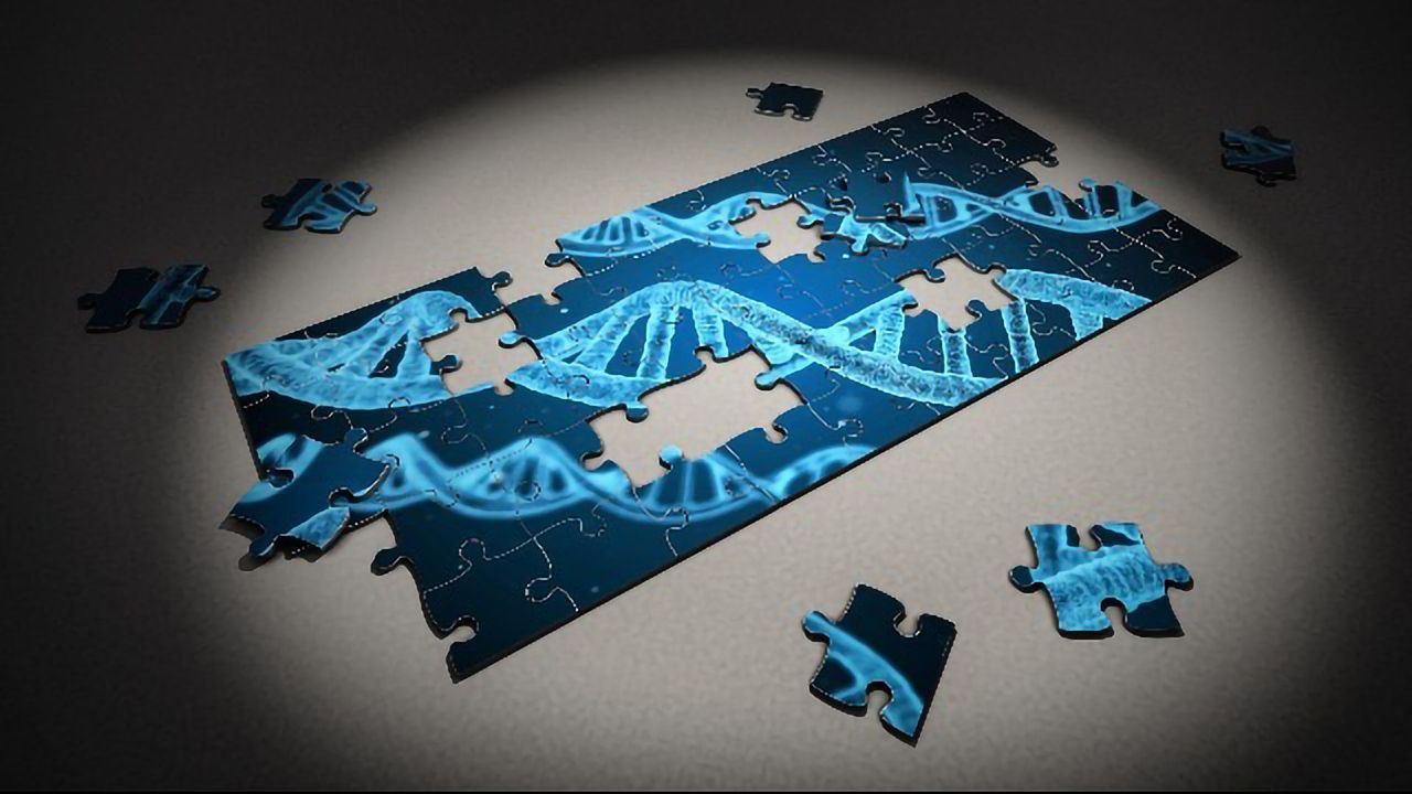 New Genetic Analysis Improves Diagnosis of Intellectual Disability