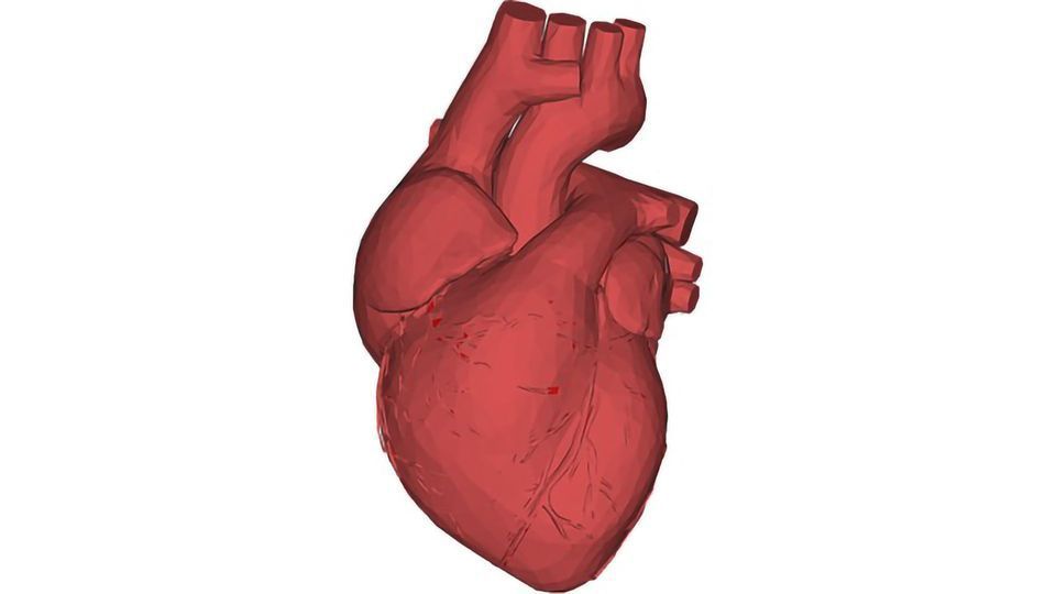 New Technique Lays Foundation for Regenerative Cardiac Therapies content piece image