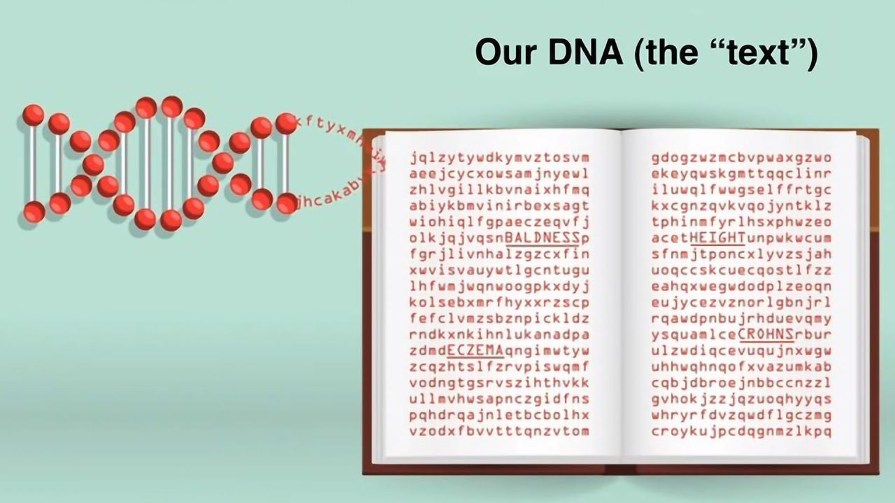 The Remarkable Flexibility of Our Genome
