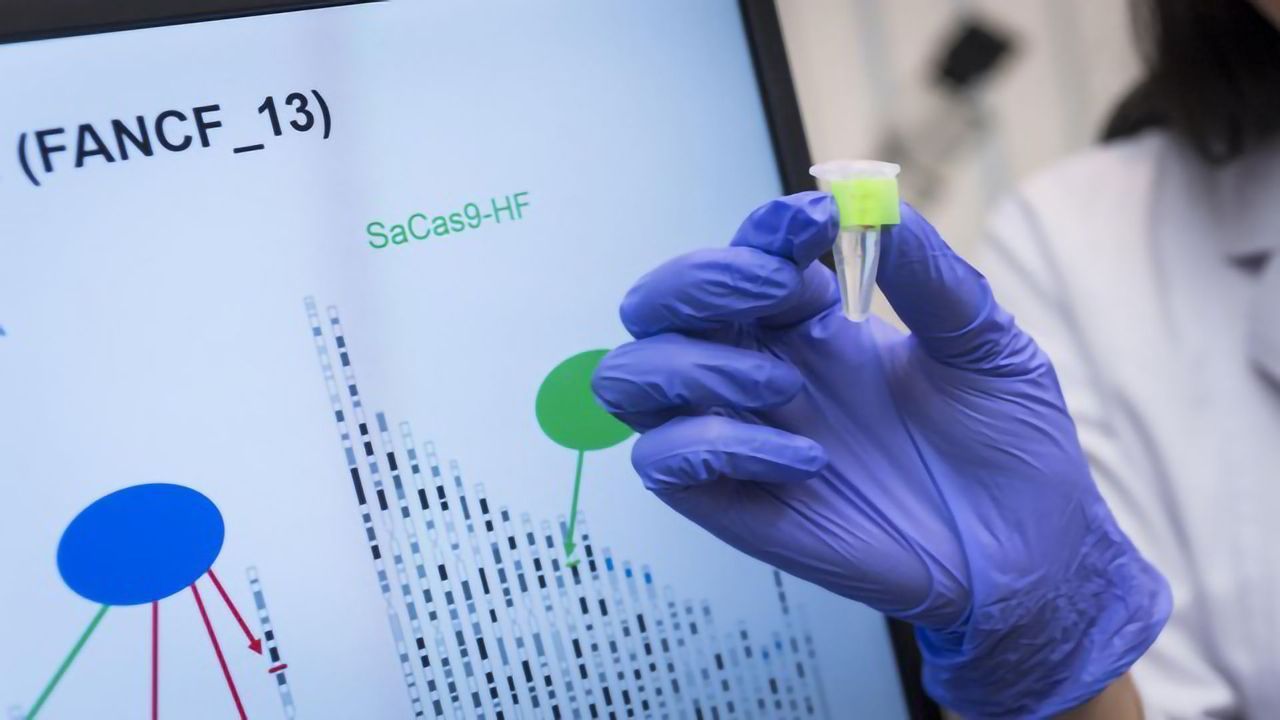 A Highly Precise Cas9 Enzyme, SaCas9-HF, Is Added to the CRISPR Toolbox