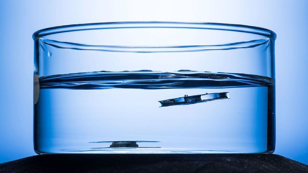 Mini-beasts Inspire Unsinkable Metal