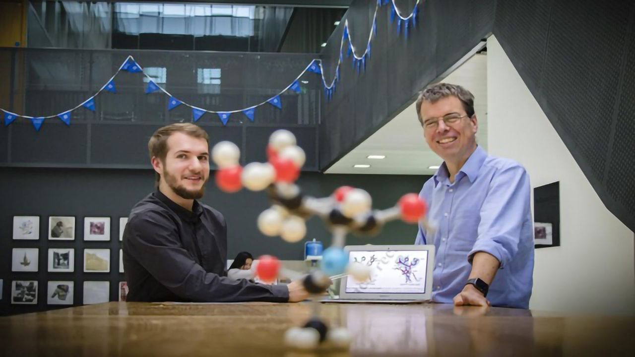 Sugar-coating Proteins May Help Understand Brain Disease