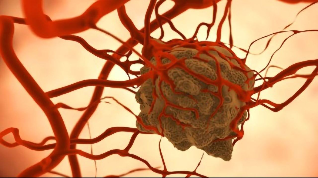 Stopping Cancer at Its Roots
