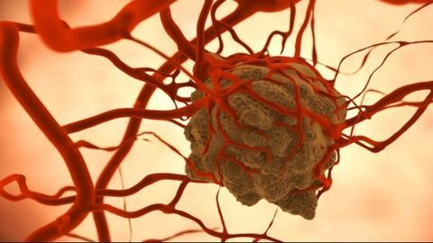Stopping Cancer at Its Roots