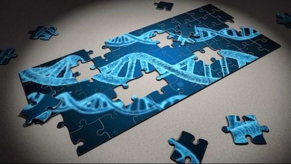 Filling in the Blanks To Understand How DNA Is Organized  content piece image