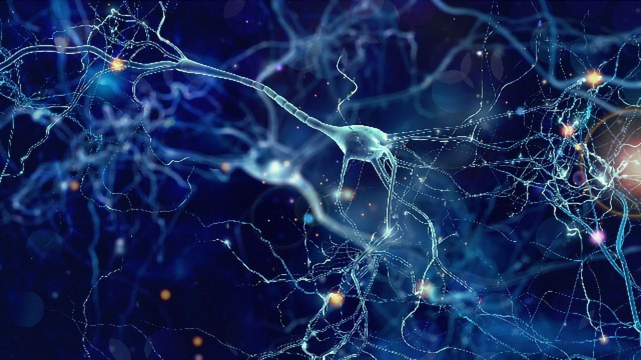 Unexpected Finding Could Lead to Charcot-Marie-Tooth Treatment