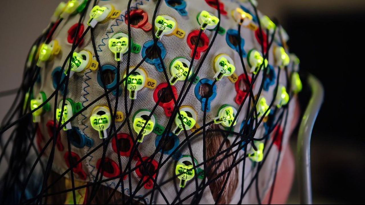 Can We Change the Structure of Our Brain Just by Thinking?