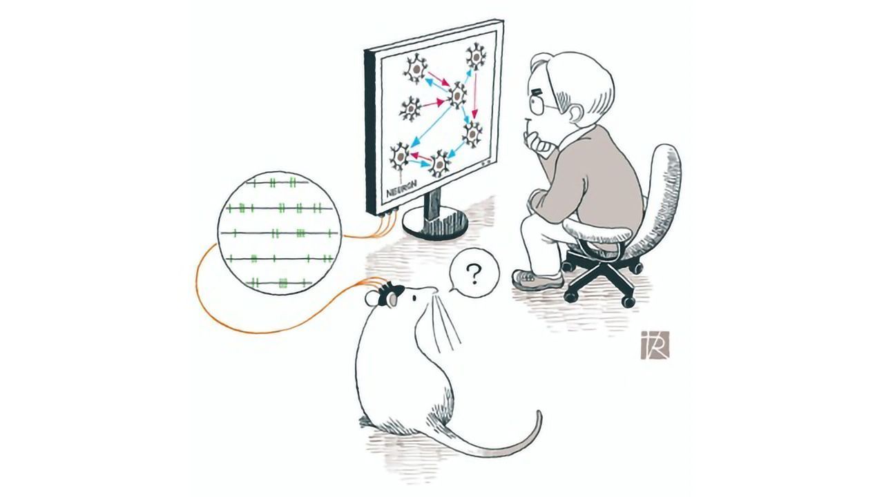 Machine Learning Harnessed To Build Map of the Connectome