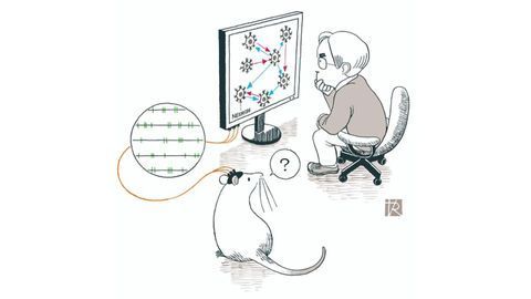 Machine Learning Harnessed To Build Map of the Connectome